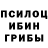 Псилоцибиновые грибы Cubensis jkwilloch