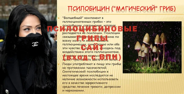 винт Алзамай