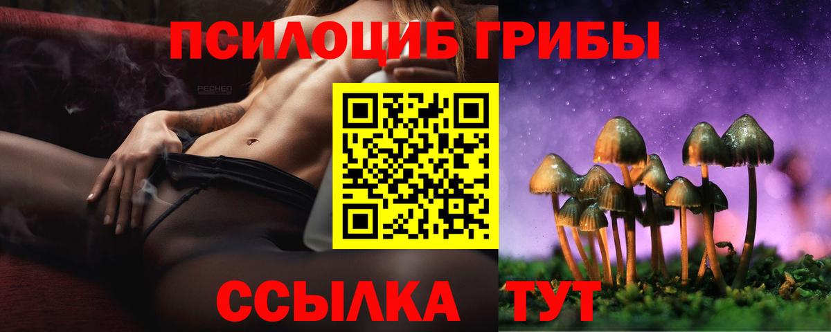 Апрелевка  Псилоцибиновые грибы Magic Shrooms  Вход с VPN 